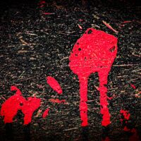 redtroopy Thumbnail